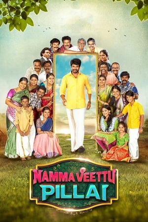 Namma Veettu Pillai (2019) (Hindi – Tamil) Dual Audio 480p UnCut HDRip 450MB