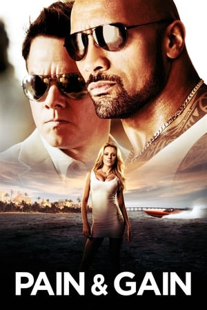 Pain & Gain 2013 HEvc 720p Dual Audio Hindi movie Bluray